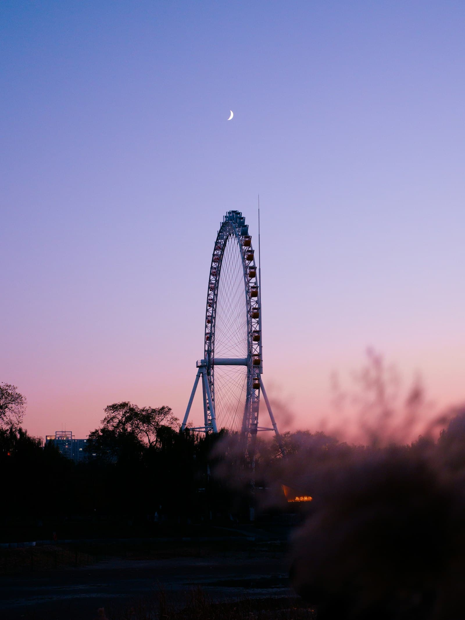 Coachella 2027 · foto 5